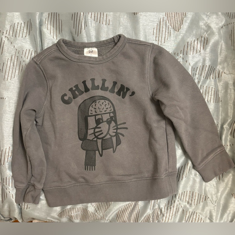 Gap Sweater Boys Size 4